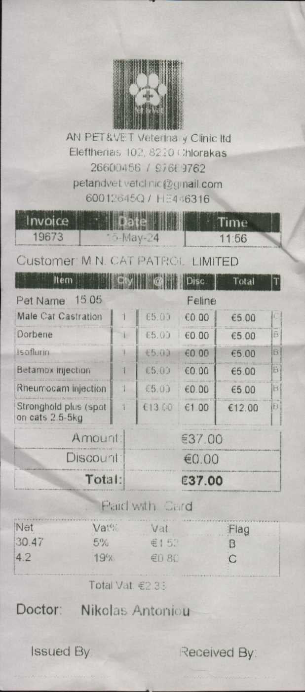 Male Neutering - ZIGGY