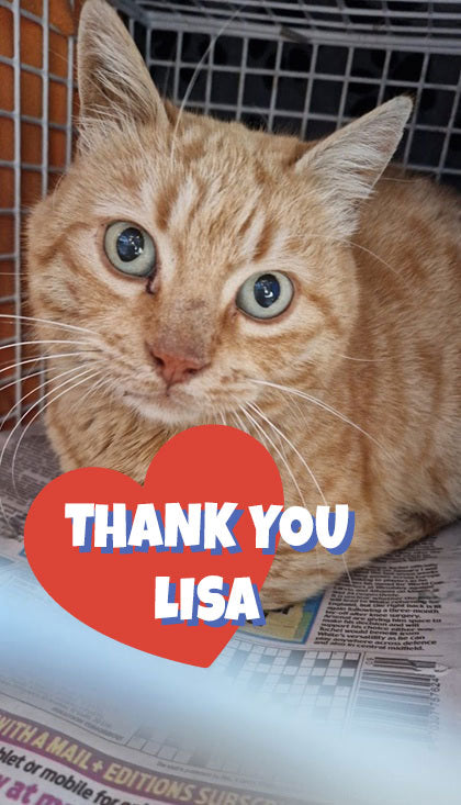 Female Neutering - MIRA