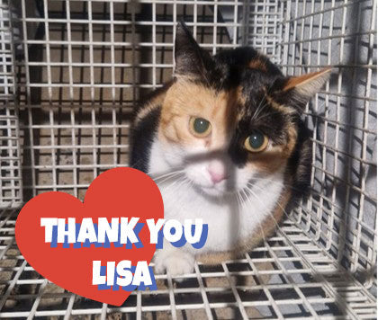 Female Neutering - SERA