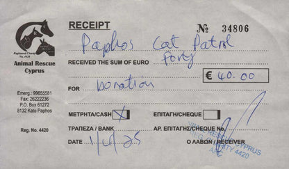 Female Neutering - 0120